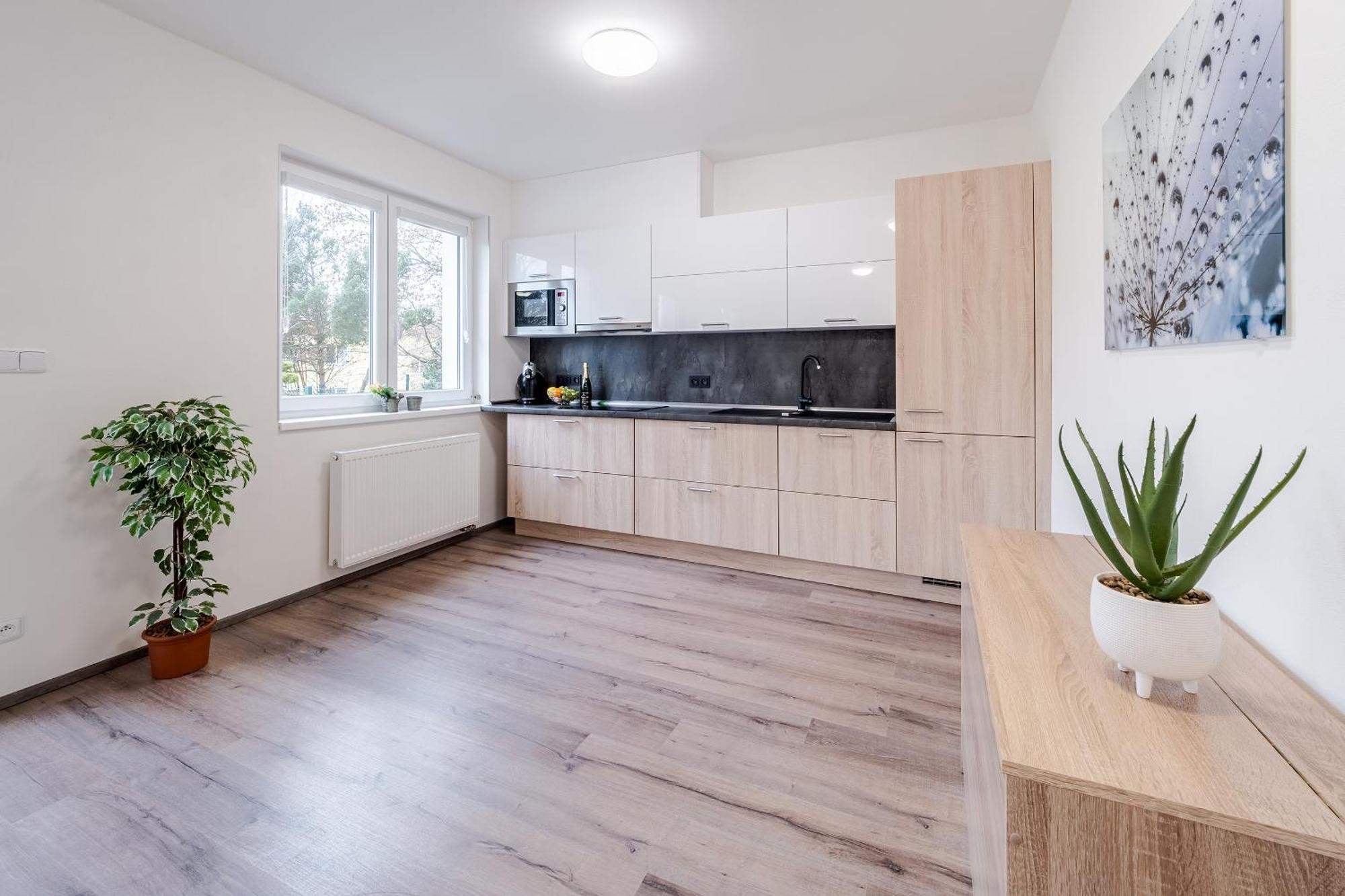 Private Luxury Apartments - Apartman G3 Frymburk Eksteriør bilde