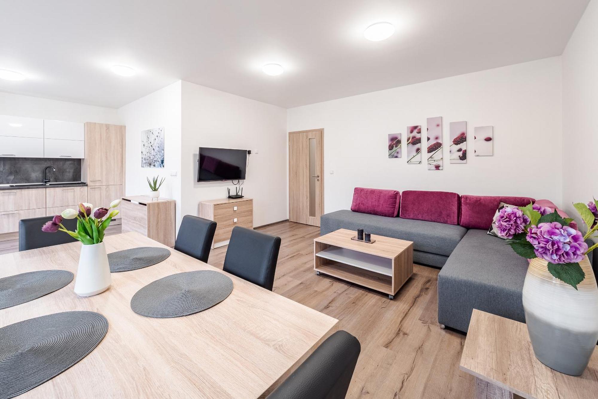 Private Luxury Apartments - Apartman G3 Frymburk Eksteriør bilde